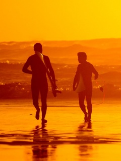 Серфингисты обои