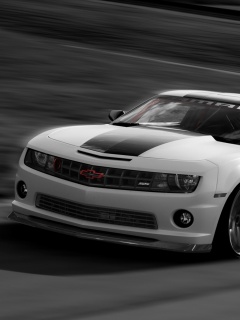 Chevrolet Camaro SSX Concept обои