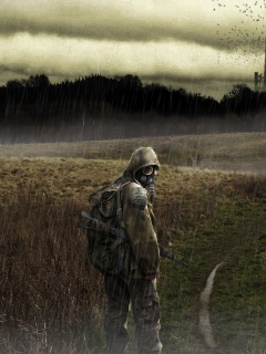 Сталкер под дождем обои