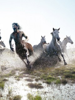 Кентавр обои