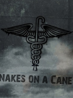 Змеи на трости обои