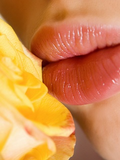 Губы девушки и роза обои