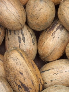 Грецкие орехи обои