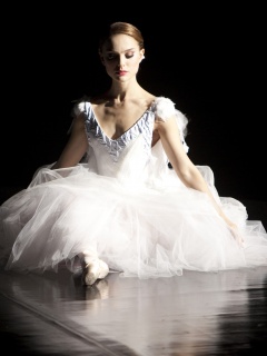 Черный лебедь обои