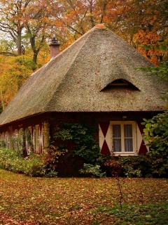 Домик в осеннем лесу обои