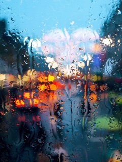 После дождя обои