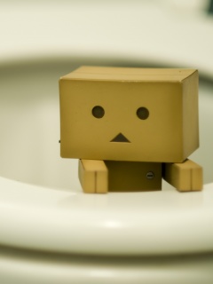 Danbo в унитазе обои