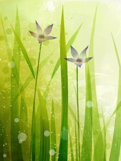 Векторные цветы обои