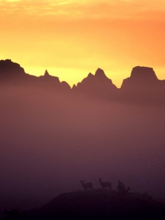 Вечер в национальном парке обои