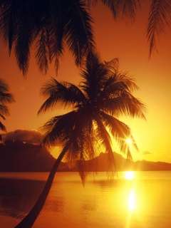 Закат в раю обои