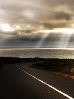 Дорога обои