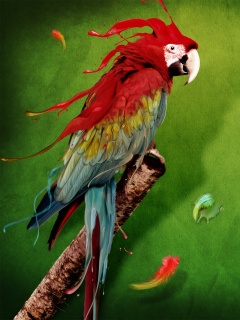 Попугай на ветке обои
