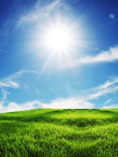 Солнце над холмом обои