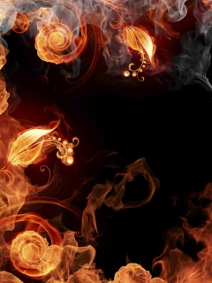 Огненные цветы обои
