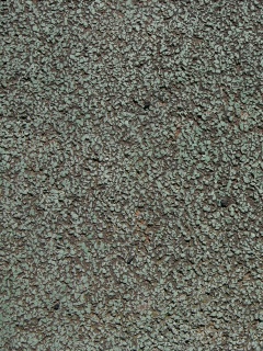 Шершавый камень обои