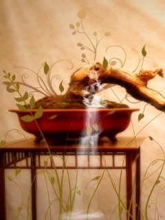 Карликовое дерево обои