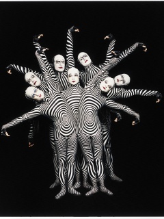 Зеброиды (актеры цирка дю солей) обои