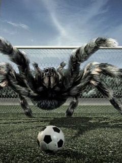 Вратарь обои