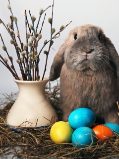 Пасхальный кролик обои