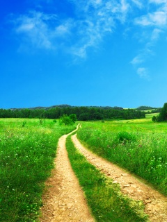 Дорога через луг обои