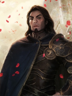 Рыцарь обои