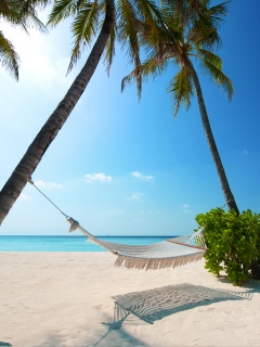 Тропический рай обои