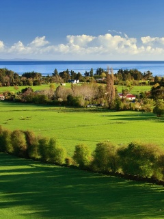 Сельская природа обои