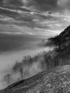 Туманные горы обои