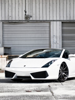 Белый спорткар Ламборгини Галлардо обои