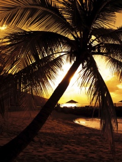 Пляж на закате обои