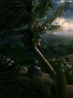 Вид на джунгли обои