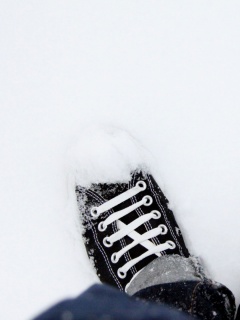 Дурак зимой в кедах обои