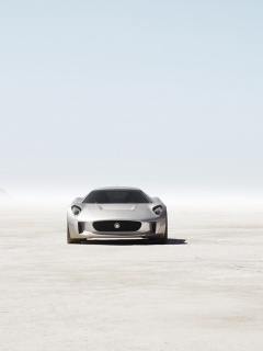 Ягуар подкрадывается обои