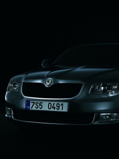 Шкода в темноте обои