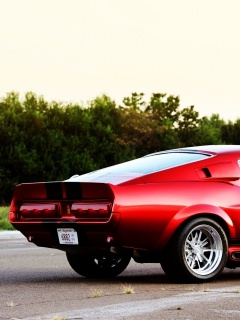 Shelby GT500 CR обои