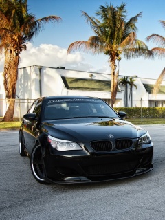 Две БМВ обои