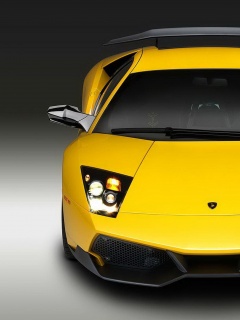Lamborghini Murcielago обои