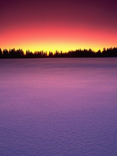 Восход над заснеженным лесом обои