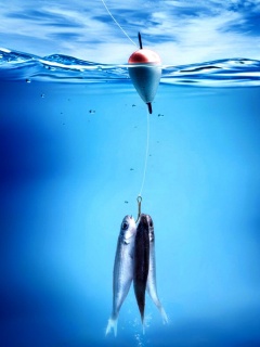 На крючке обои