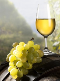 Винная бочка и бокал с белым вином обои