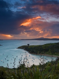 Waiheke Island, New Zealand обои