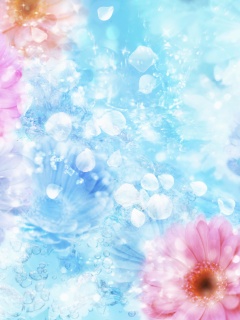 Цветочная эйфория обои