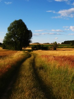 Колея в поле обои