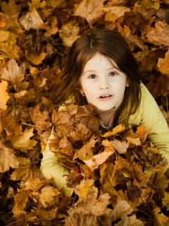 Девочка и осень обои