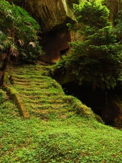 Старинный лесной храм обои