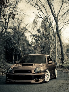 Субару Импреза на лесной дороге обои