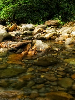 Гораня река обои