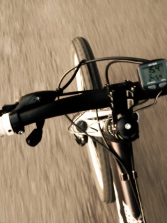 Катание на велосипеде обои