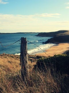 Пляж на озере обои