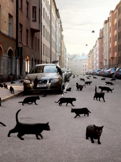 Город кошек обои